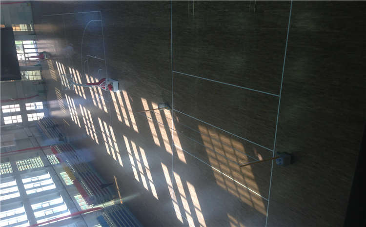 楓樺木體育運動地板價格及圖片