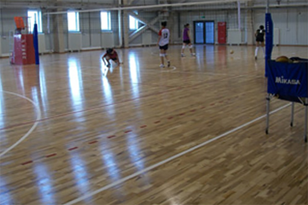 實(shí)木體育地板 實(shí)木體育地板