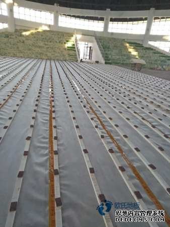 大型籃球地板大全